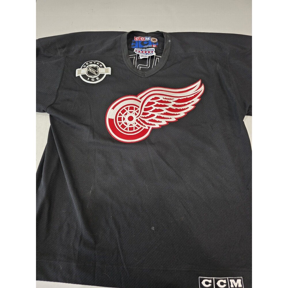Hasek Red Wings Center Ice Jersey
